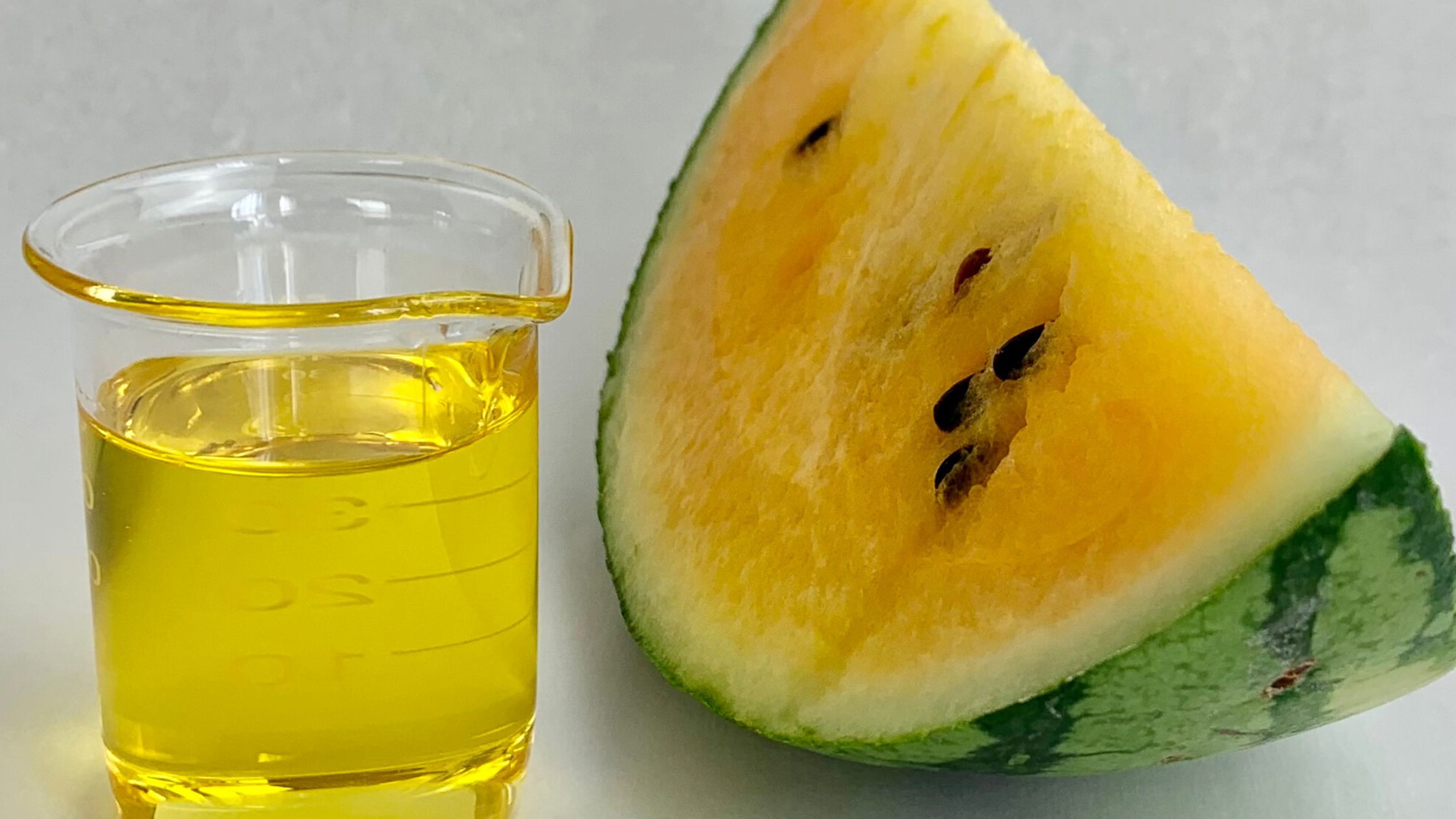 watermelon seed oil and fruit