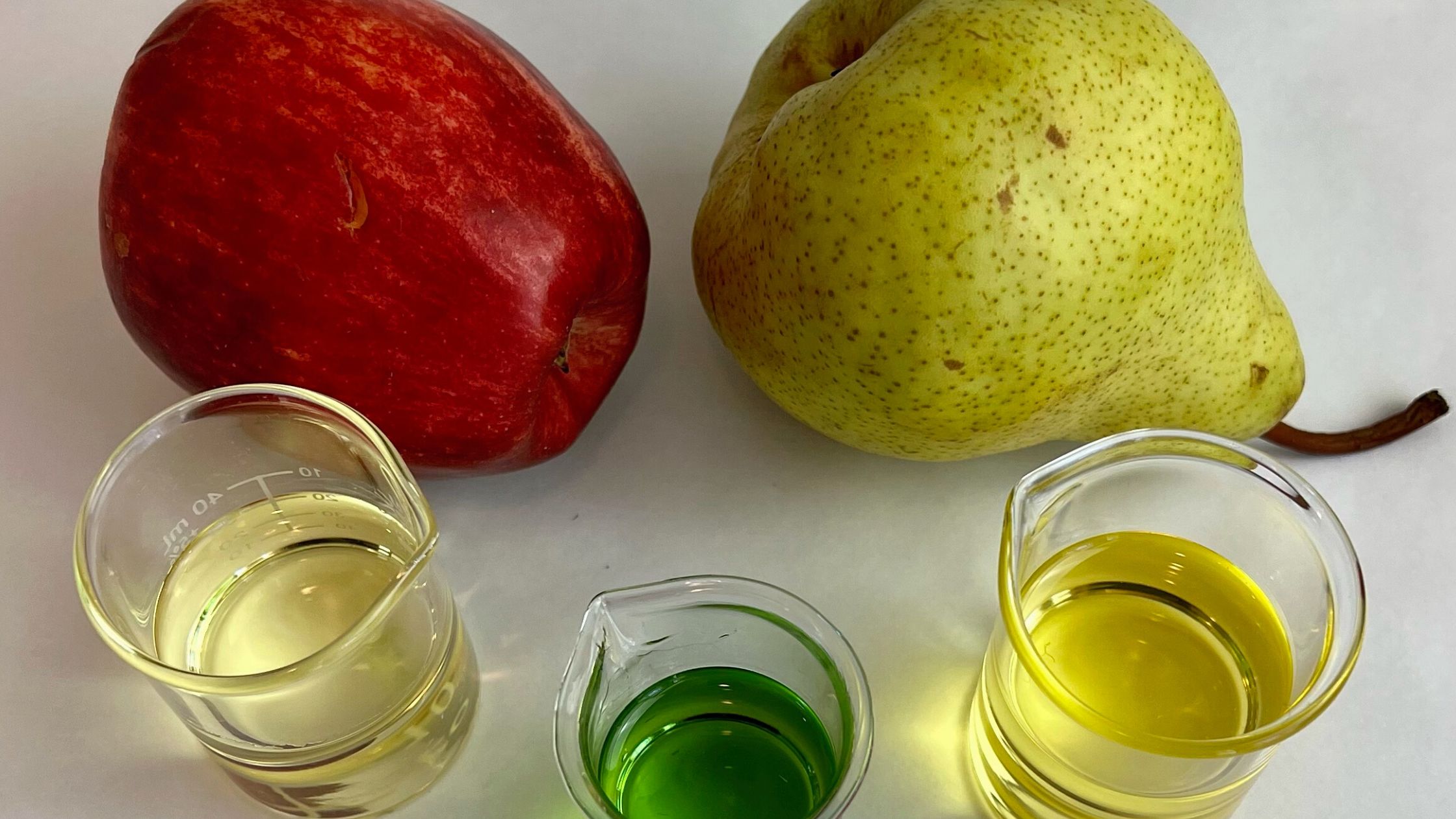 apple and pear seed oils in beakers with fresh fruit