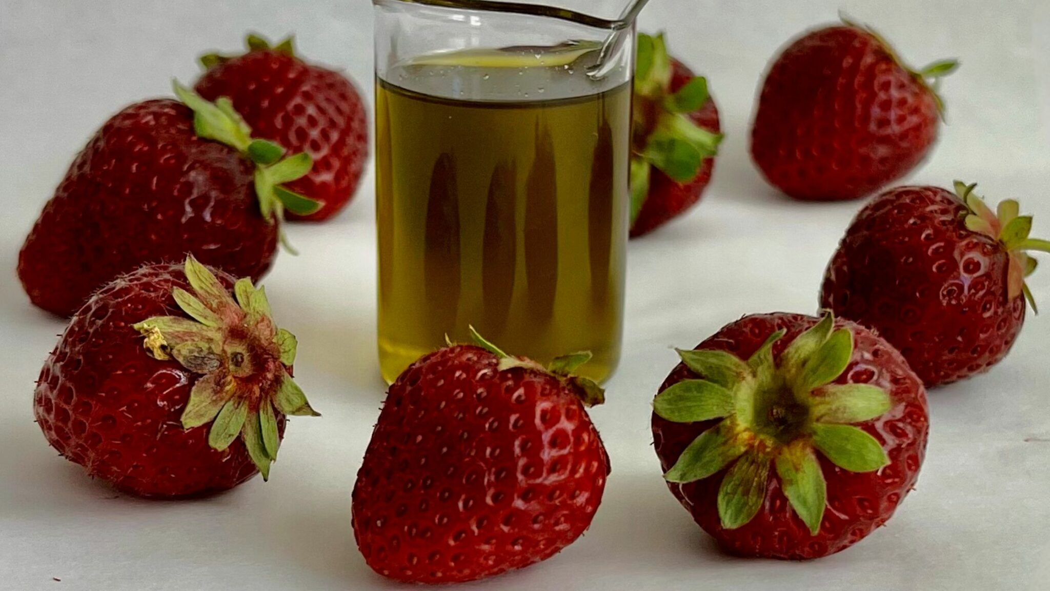 Carrier Oils The Complete List The Lipid Oils Academy