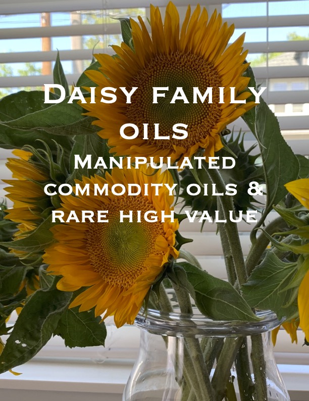 Daisy - bonus-pdf