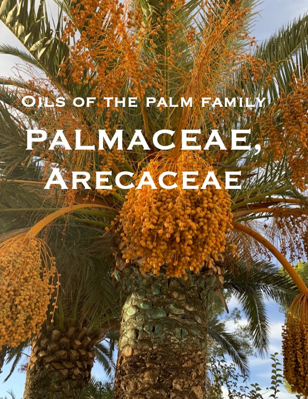 Decoded Palm bonus-pdf