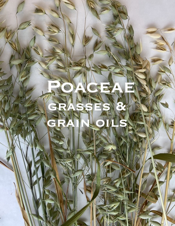 Grains bonus-pdf