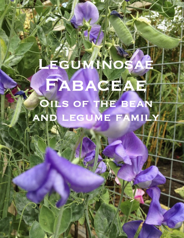 Legume bonus-pdf