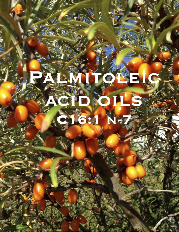 Palmitoleic acid oils-pdf