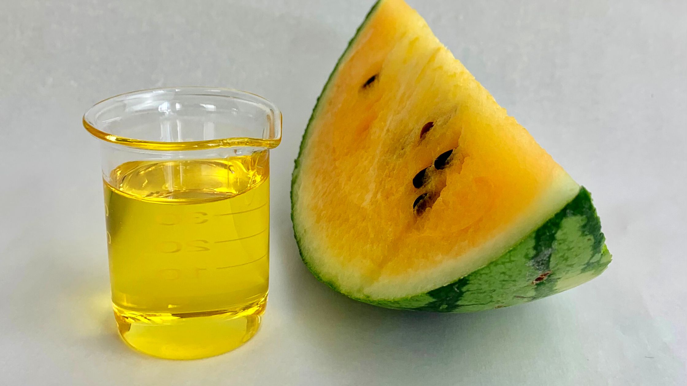 Watermelon Seed Oil watermelon seed oil in beaker with fresh yellow watermelon slice