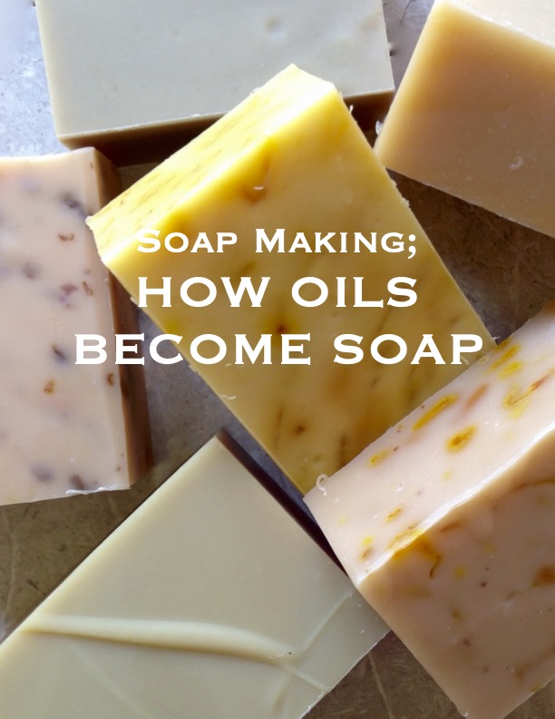 decoded soap bonus-PDF