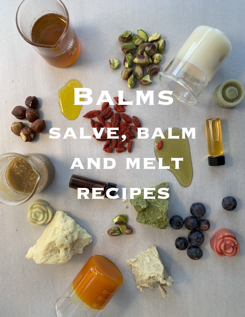 Caarrier 2023 balms recipes PDF