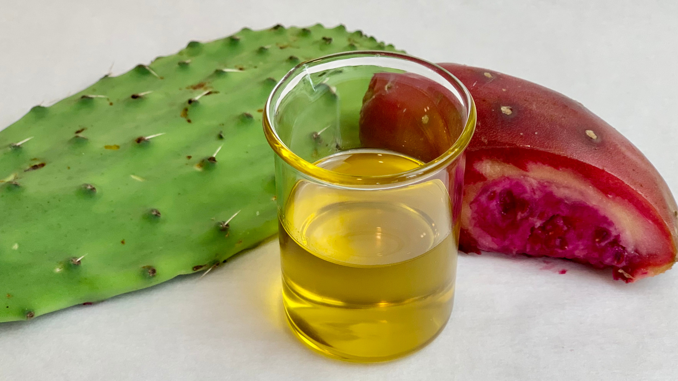 BLOG_PRICKLY_PEAR (1)
