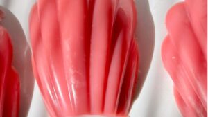 shell shaped pink tallow lotion bars