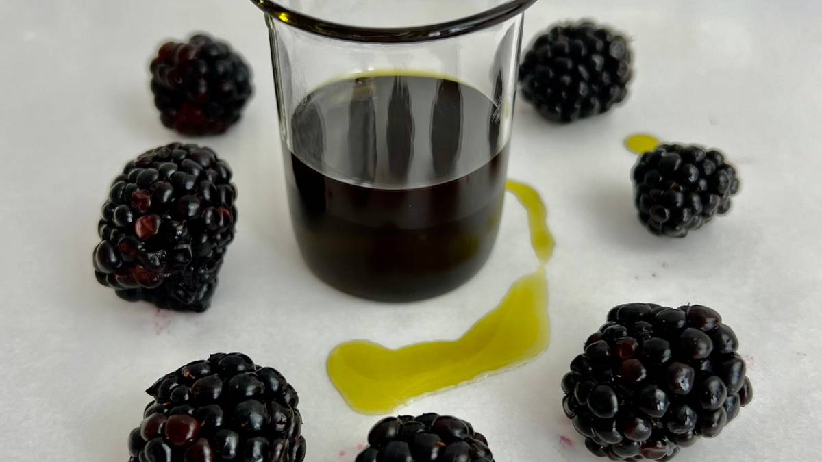 Blackberry Seed Oil dark purple blackberry seed oil in glass beaker with fresh blackberries scattered around