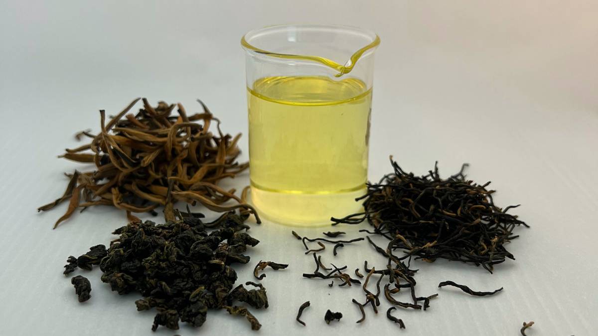 Camellia Seed Oil camellia seed oil in glass beaker with assorted black tea leaves