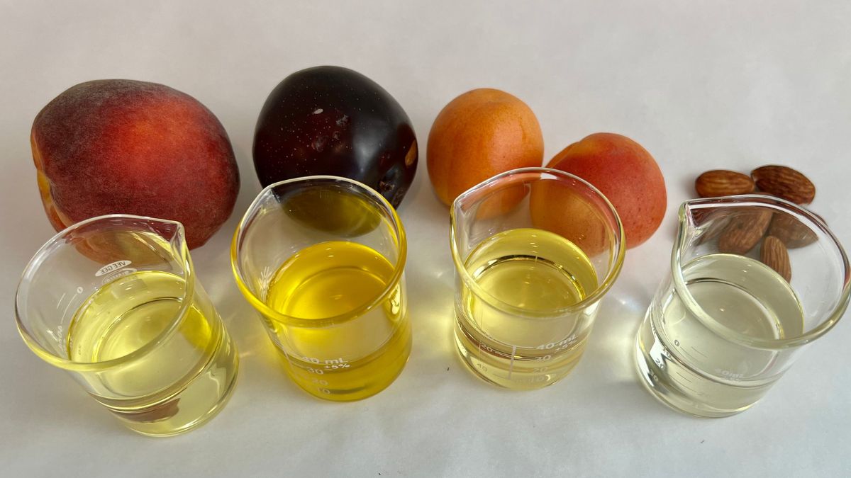 Carrier Oils peach, plum, apricot, almonds and corresponding oils