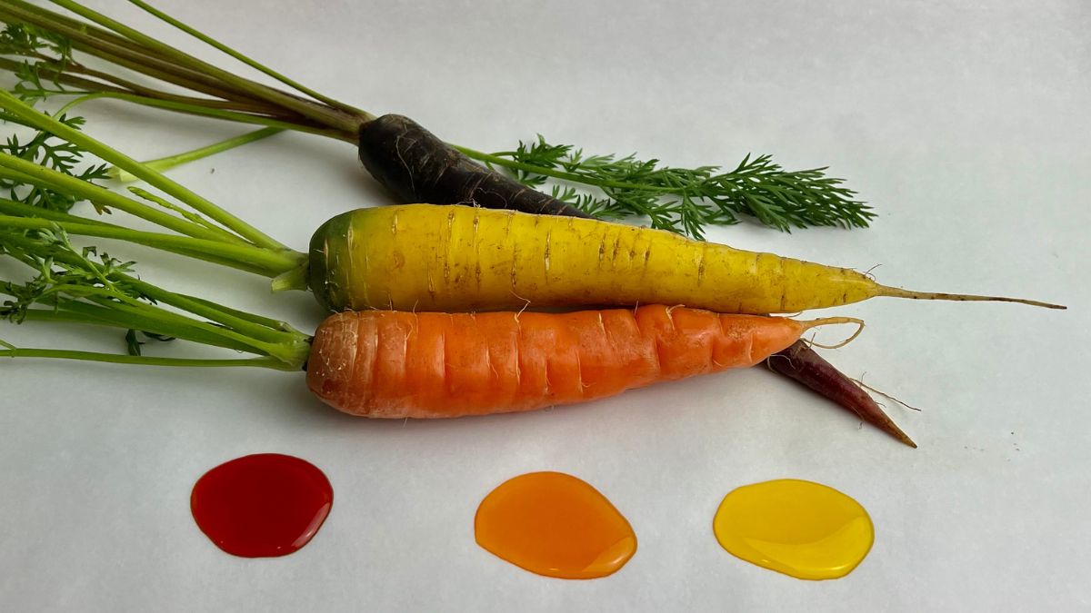 orange, yellow and purple carrots with 3 colorful dots of oil