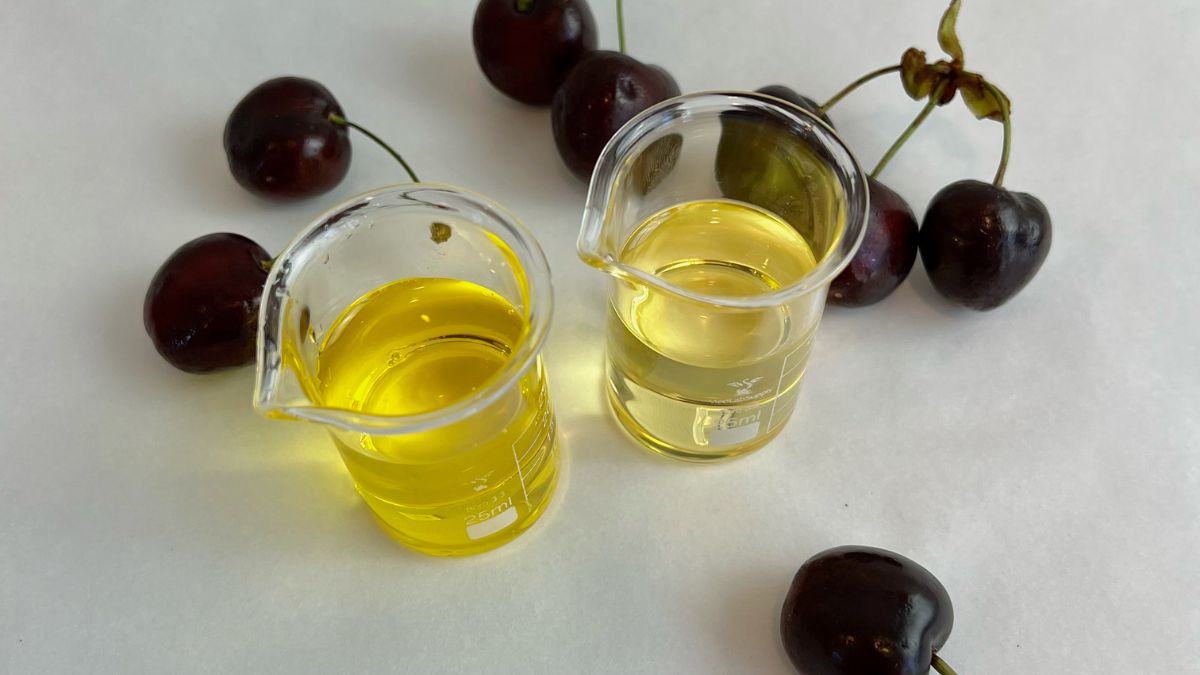 Cherry Kernel Oil cherry kernel oil in 2 glass beakers with fresh cherries and steams