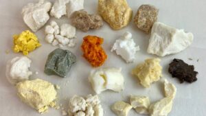 selection of plant butters on a grey background