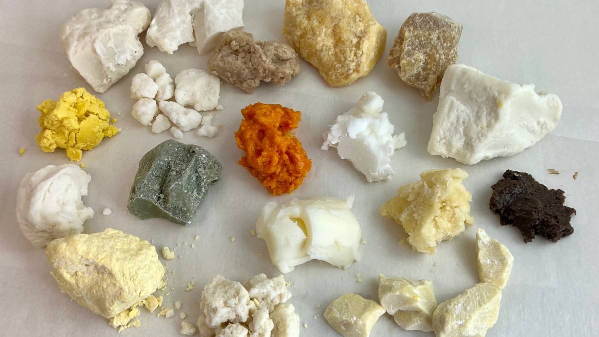 Plant Butters selection of plant butters on a grey background