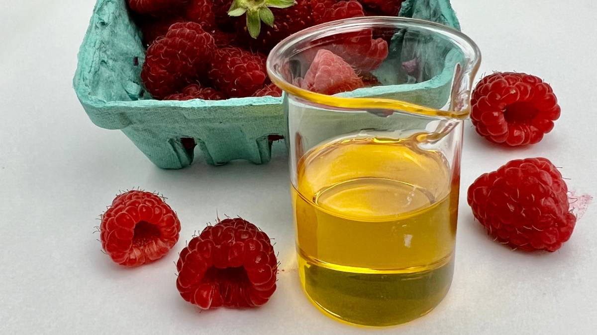 fresh raspberries in teal carton and raspberry seed oil in glass beaker