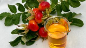rosehip seed oil in glass beaker with fresh red rosehips and green leaves