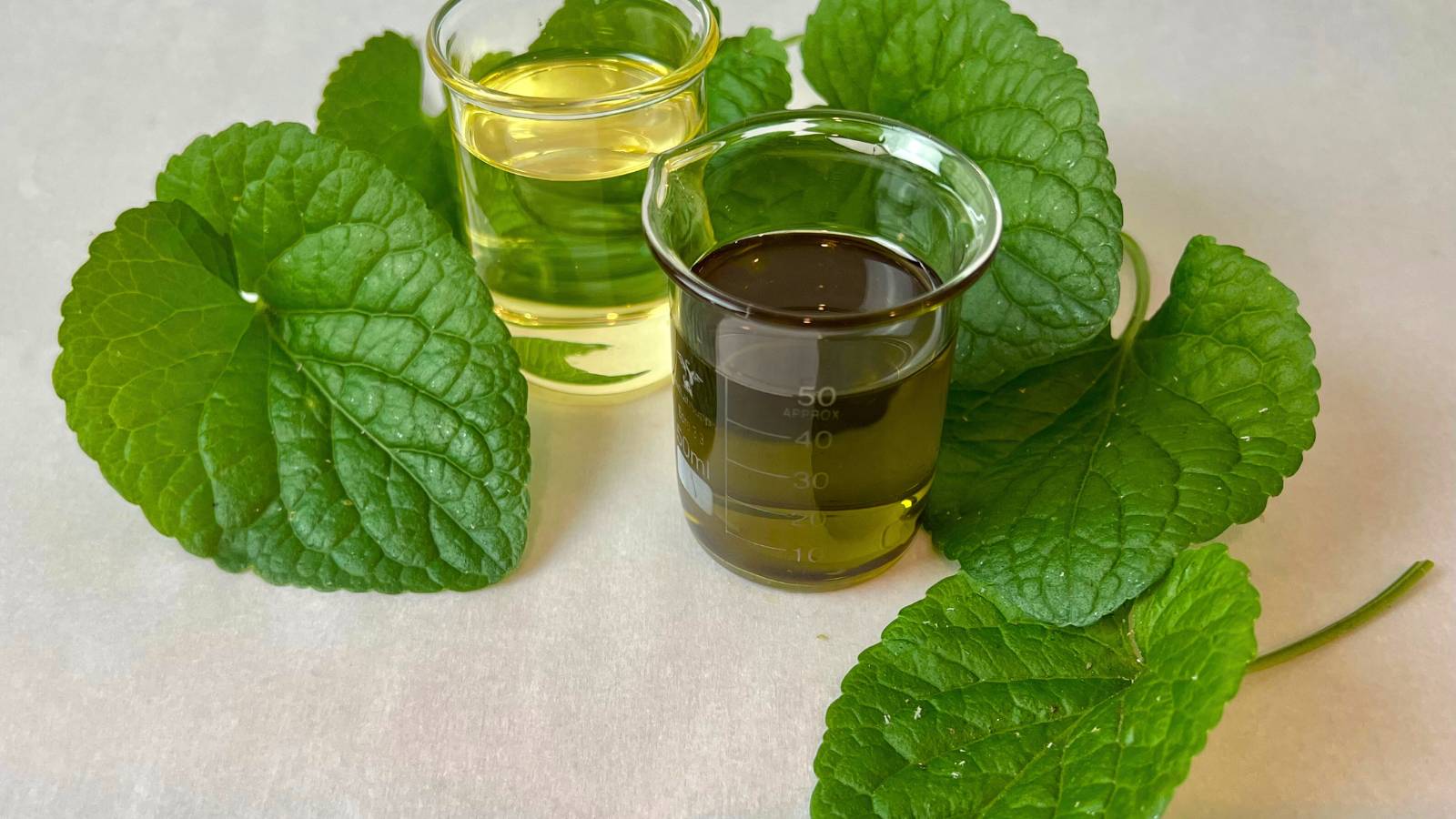 violet_infused_sesame_oil (1)