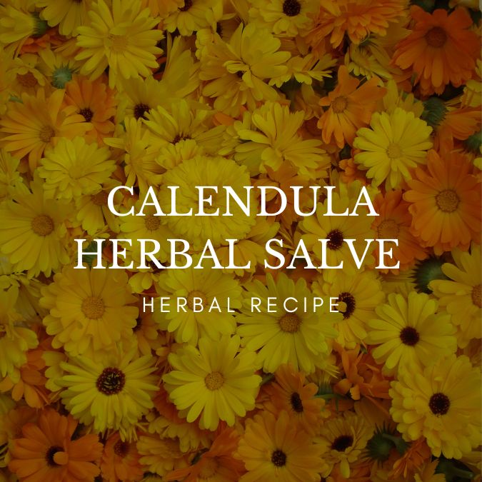 Calendula Herbal Salve