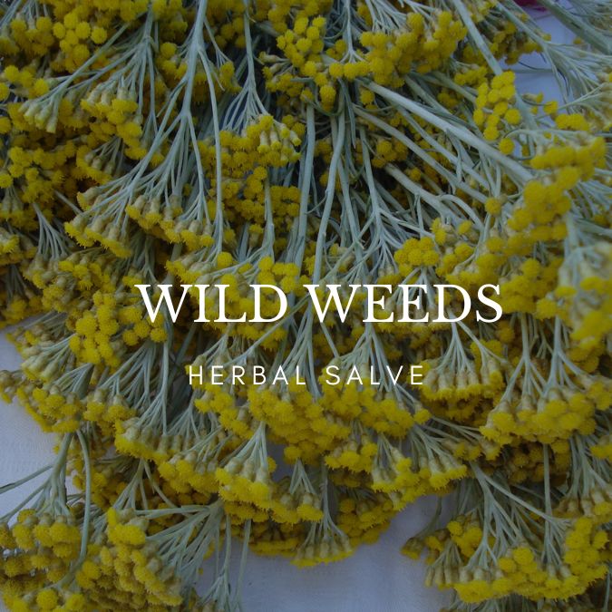 Wild Weeds herbal Salve