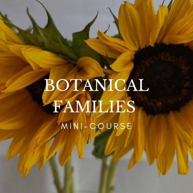 botanical-families-mini-course