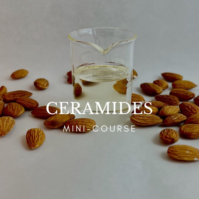 ceramides Ceramide Mini Course
