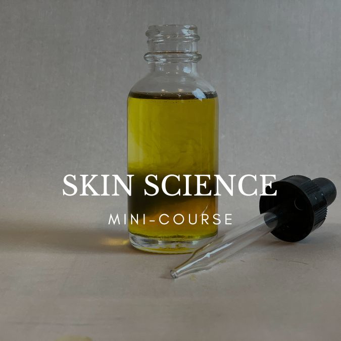 skin
