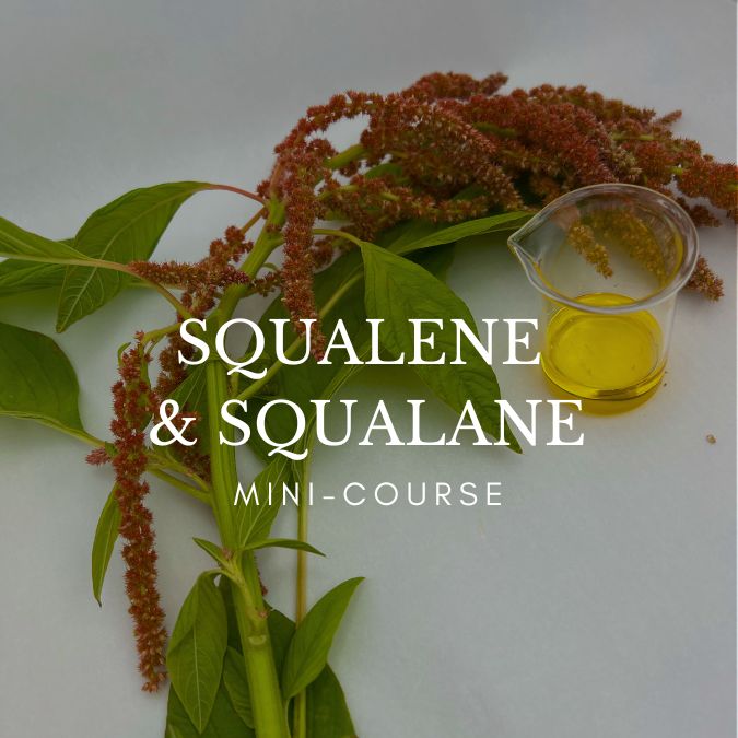 squalene-vs-squalane-mini-course squalene mini course graphic