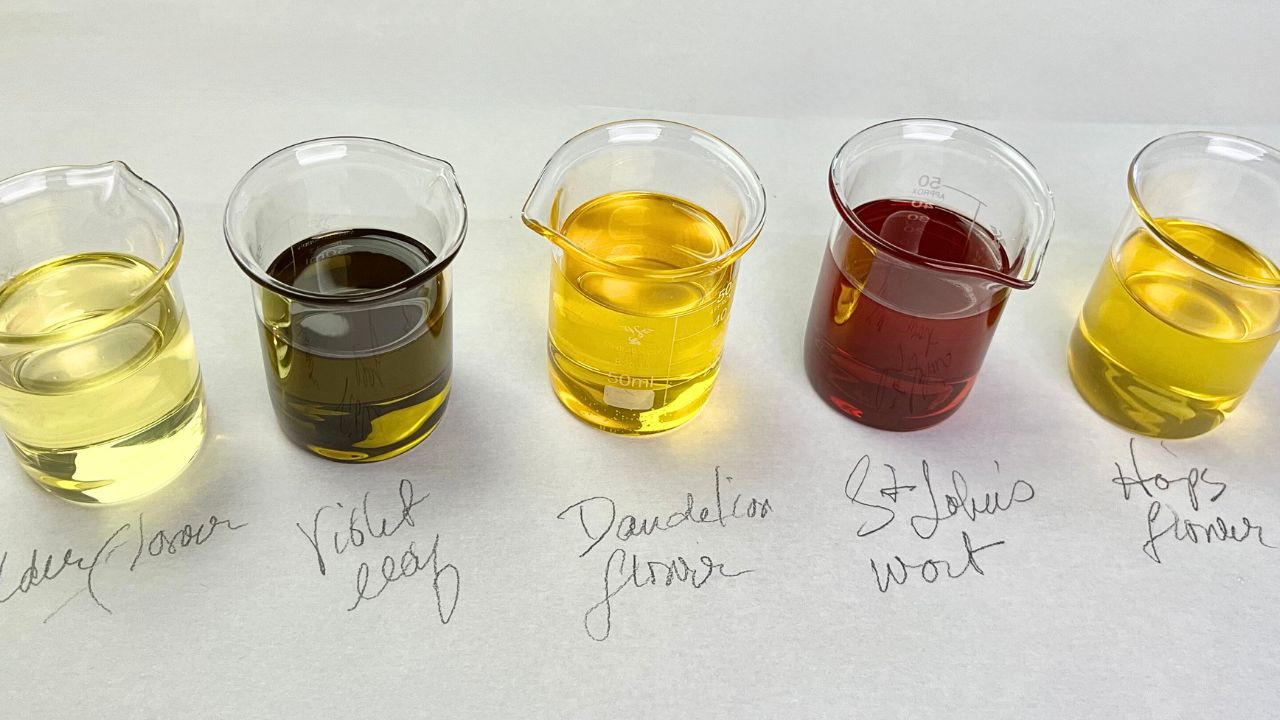 infused_oils (1)